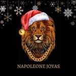 @napoleonejoyas