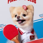 @pom_kream