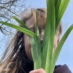 @foragedfibres