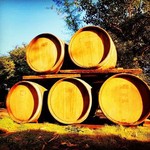 @nipha_winery