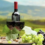 @topwineries