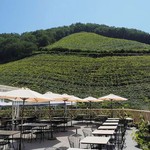 @cocofarmwinery