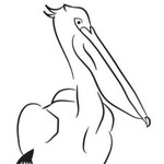 @thepelican_w11