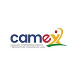 @camexbolivia