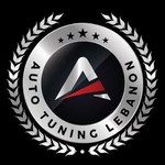 @auto_tuning_lebanon