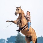 @featherlighthorsemanship
