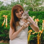 @ripplesim