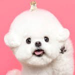 @bbang._.ddoa