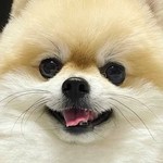 @makdoong_i