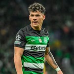 @maximilianoaraujo6