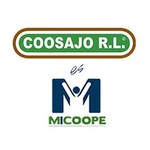 @coosajoesmicoope