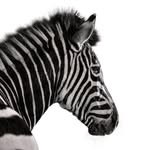 @investec