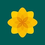 @plaidcymruwales