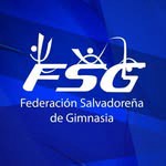 @federaciongimnasiaesa