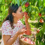 @lesgourmandisesdeloubna