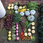 @marfskitchengarden