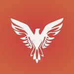 @villamedic_group