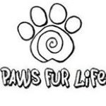 @pawsfurlife