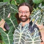 @umbotaniconoapartamento