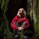 @drsuzannesimard