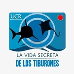 @tiburones.ucr