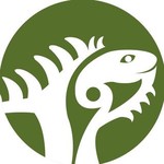@fundacionlaiguana