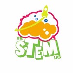 @thestemlabpakistan