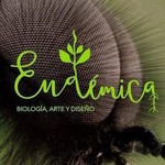 @endemicaoficial