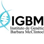 @instituto.genetica.igbm