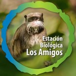 @losamigosbiologicalstation