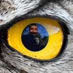 @birddetective