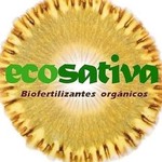 @ecosativa