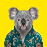 @queensland