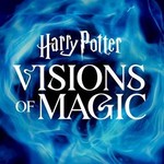 @harrypottervisionsofmagic
