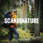@scandinature