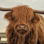 @simply.scotland