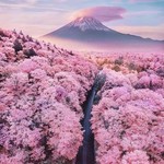 @desiretravels_