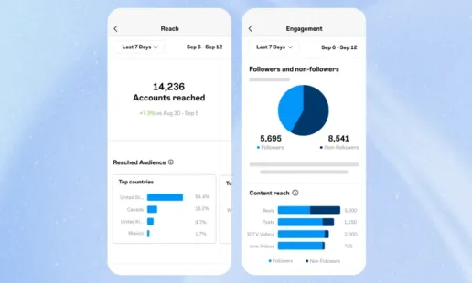 Instagram Insights: Tu plan para triunfar en las redes sociales
