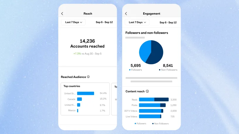 Instagram Insights: Your Blueprint for Social Media Triumph