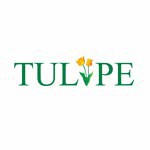 tulipeegypt