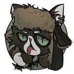 silly.cats.store__