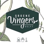 groenevingersdelft