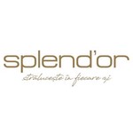 splendor_romania