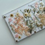 mylindesignco