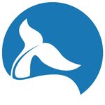 clubmarinoballena