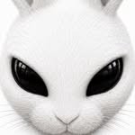 badbunnies.my
