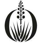 almaquiote
