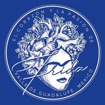 casafridavallegpe