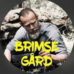 brimsegard