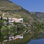 quintadelarosa